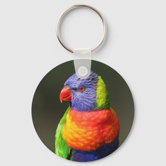 Porte-clés Rainbow Lorikeet (Recto)