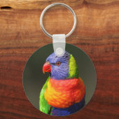 Porte-clés Rainbow Lorikeet (Recto)