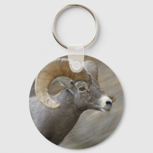 Porte-clés RAM de Bighorn de désert