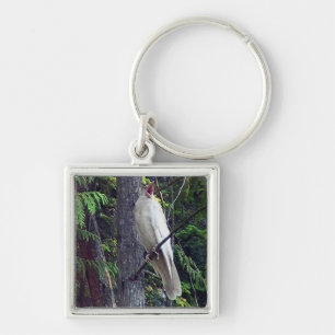 Porte-clés rare corbeau blanc