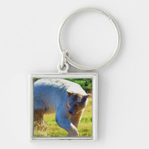 Porte-clés Rare Kermode Bear (Spirit Bear) Wildlife Photo