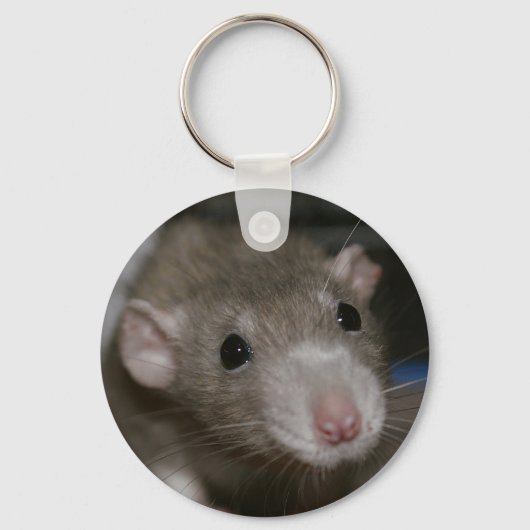 Porte-clés Rat curieux (Recto)