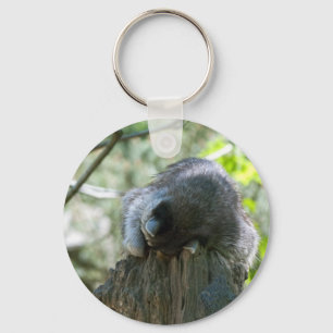 Porte-clés Raton laveur endormi