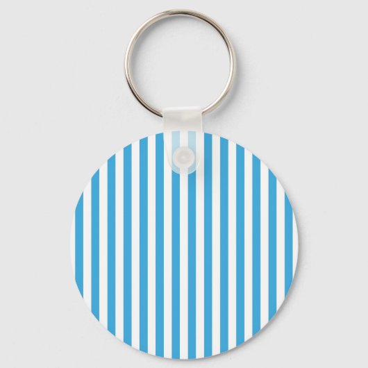 Porte-clés Rayoires verticales classiques bleu bébé clair et (Recto)