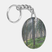 Porte-clés Rayons de soleil dans la Forêt-Noire (Devant gauche)