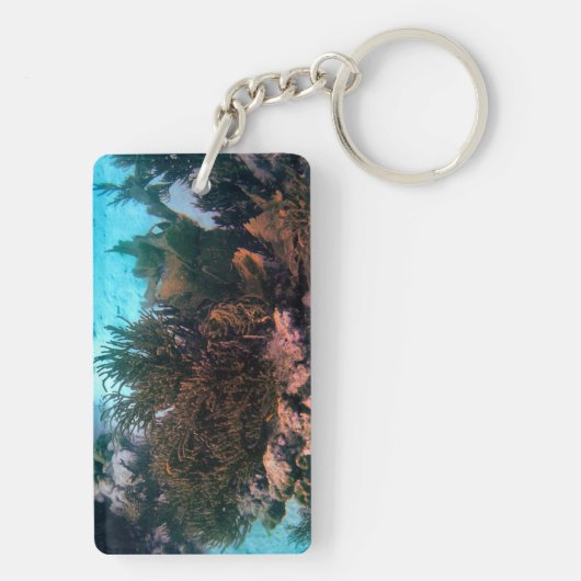 Porte-clés Récif de Bonairean (Dos)