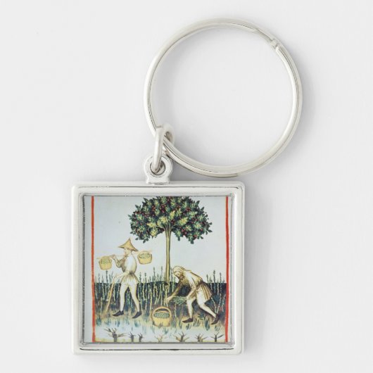 Porte-clés Récolteuses d'asperge, 13ème siècle (Devant)