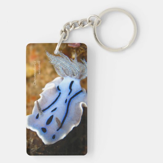 Porte-clés Rectangle de willani de Chromodoris Keych (double (Dos)