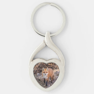Porte-clés Red Fox de près et personnel