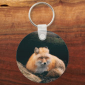 Porte-clés Red Fox dormant (Recto)
