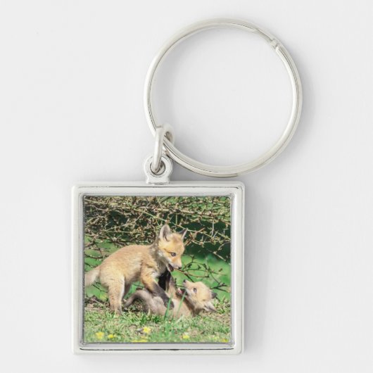 Porte-clés Red Fox Kits Jouer (Devant)