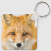 Porte-clés Red Fox Portrait (Dos)
