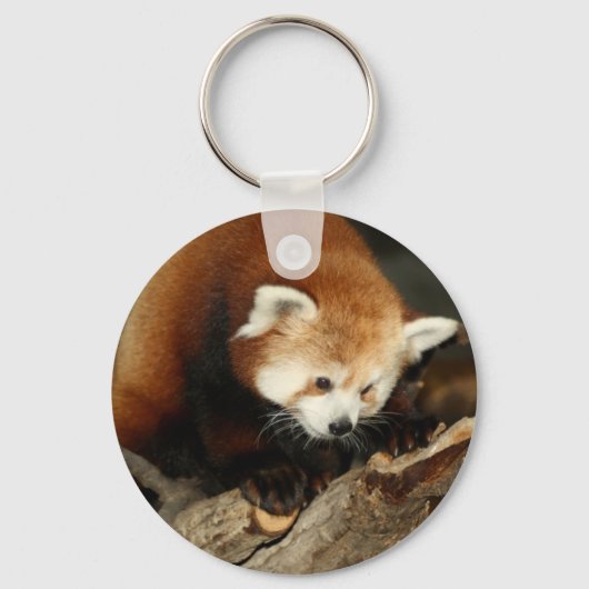 Porte-clés Red Panda (Recto)