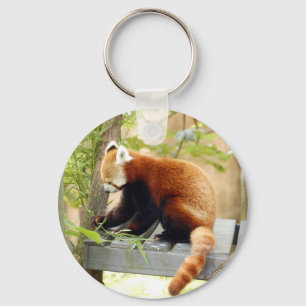 Porte-clés red-panda-028