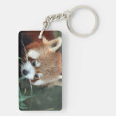 Porte-clés Red Panda, Zoo de Taronga, Sydney, Australie (Dos)