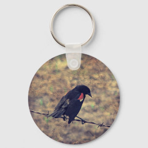 Porte-clés Red Wing Blackbird sur Barbed