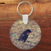 Porte-clés Red Wing Blackbird sur Barbed (Recto)