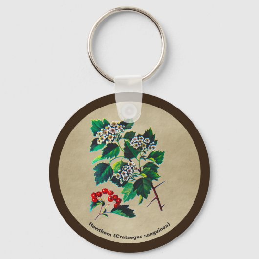 Porte-clés Redhaw Hawthorn sur vieux papier (Recto)