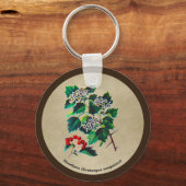 Porte-clés Redhaw Hawthorn sur vieux papier (Recto)