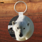 Porte-clés Regard dans l'oeil d'un ours polaire (Recto)
