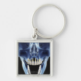 Porte-clés Regard de style de rayon X aux dents humaines