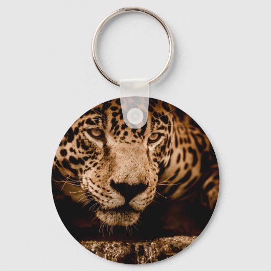 Porte-clés regard jaguar (Recto)