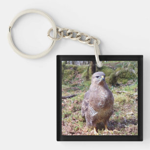 Porte-clés Regard Perçant du Buse Majestueux Faune de la Forê