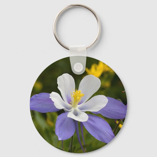 Porte-clés Regard sur Skyward (Recto)