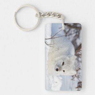 Porte-clés Renard arctique en hiver