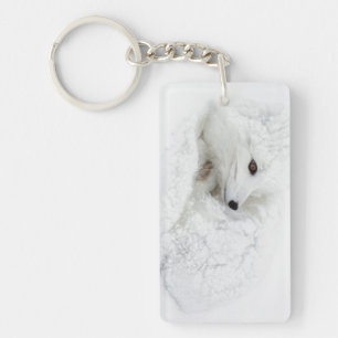 Porte-clés Renard arctique recroquevillé en hiver