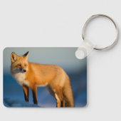 Porte-clés Renard Brown (Recto)
