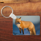 Porte-clés Renard Brown (Verso)