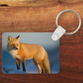 Porte-clés Renard Brown (Recto)