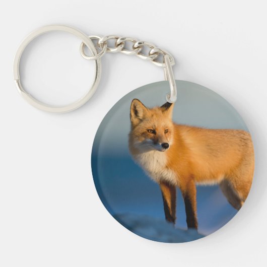 Porte-clés Renard Brown (Devant)