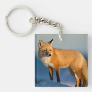 Porte-clés Renard Brown