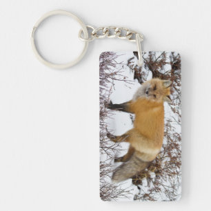 Porte-clés Renard roux dans la neige en hiver