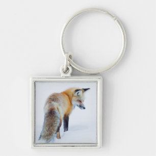 Porte-clés Renard roux en hiver