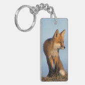 Porte-clés renard roux, Vulpes vulpes (Devant gauche)