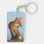 Porte-clés renard roux, Vulpes vulpes (Dos)