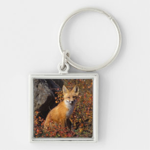 Porte-clés renard roux, Vulpes vulpes, en couleurs d'automne