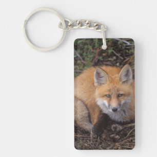 Porte-clés renard roux, Vulpes vulpes, en couleurs d'automne