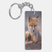 Porte-clés renard roux, Vulpes vulpes, petit se grattant, (Devant gauche)