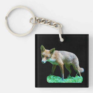 Porte-clés Renardeau sur herbe moussue faune forestière natur