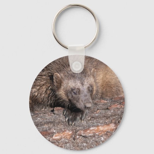 Porte-clés Rencontre rapprochée avec le Wolverine (Recto)