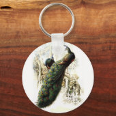 Porte-clés Repose des Peacocks (Recto)