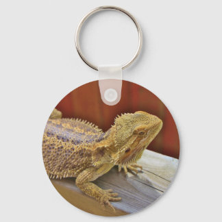 Porte-clés Repose du dragon barbu 2