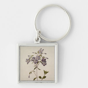 Porte-clés Reptans de Phlox