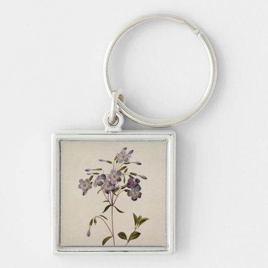 Porte-clés Reptans de Phlox (Devant)