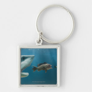 Porte-clés Requin chassant le bar de mer chassant le jeune