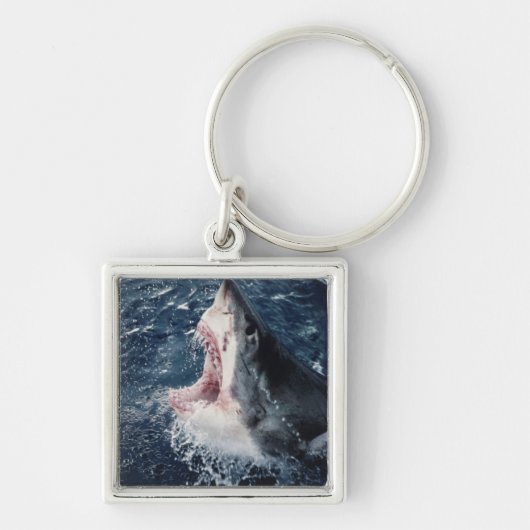 Porte-clés Requin élevé bouche ouverte (Devant)